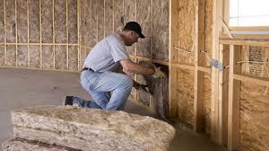 Best Attic Insulation Installation  in Paintsville, KY