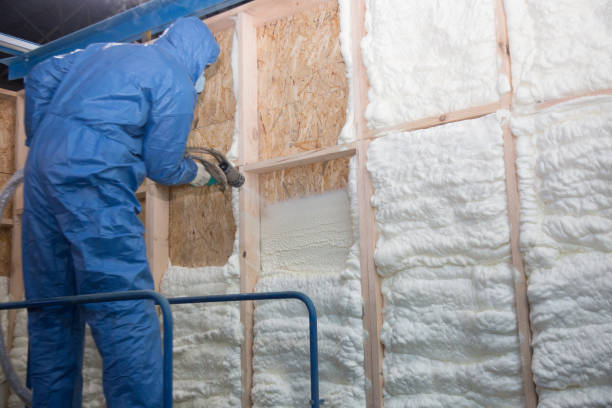 Best Eco-Friendly or Green Insulation Solutions  in Paintsville, KY